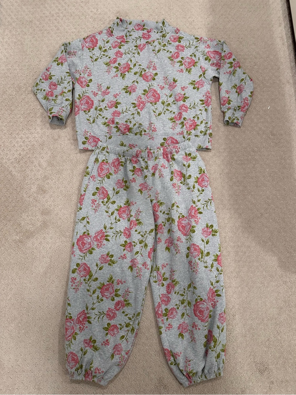 Target Wild Fable Gray Pink Floral Mock Neck
Sweatshirt & Joggers Set • Size L